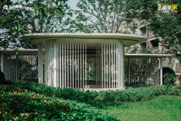 1689908203130355.jpg 圖片 18.JPG